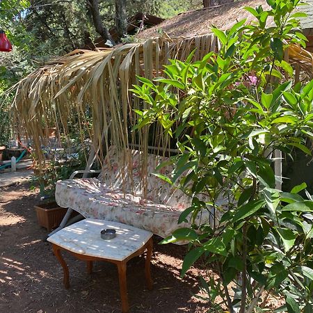 Canario Bungalows Çıralı Εξωτερικό φωτογραφία
