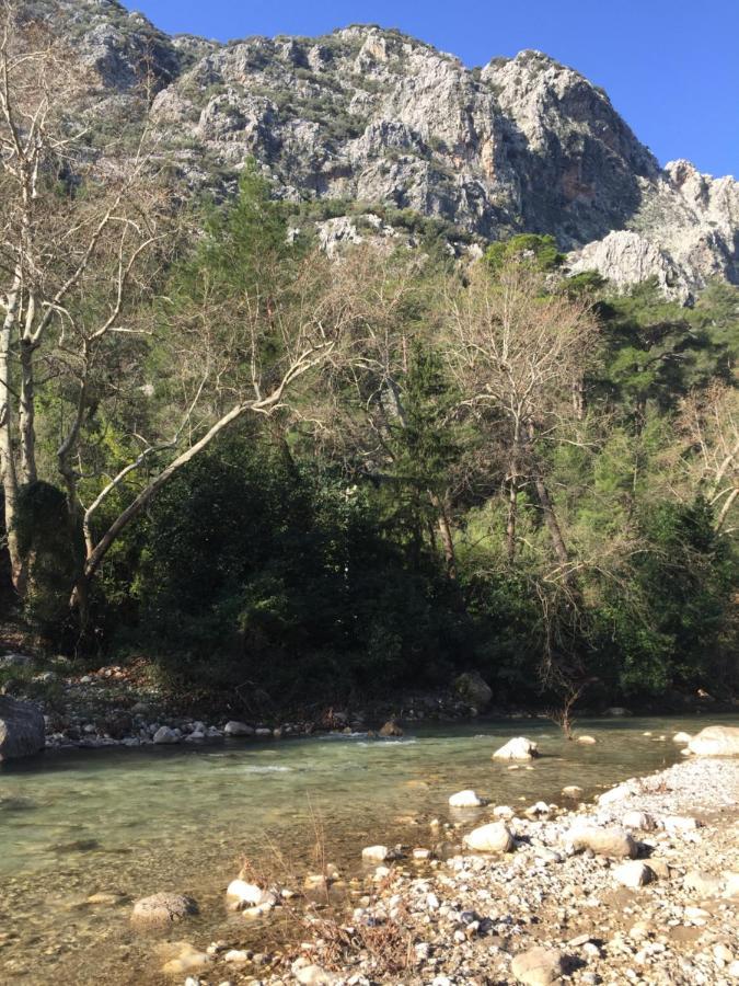 Canario Bungalows Çıralı Εξωτερικό φωτογραφία