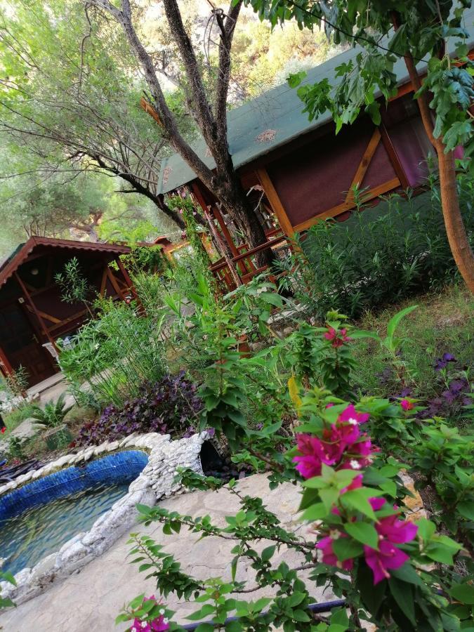 Canario Bungalows Çıralı Εξωτερικό φωτογραφία