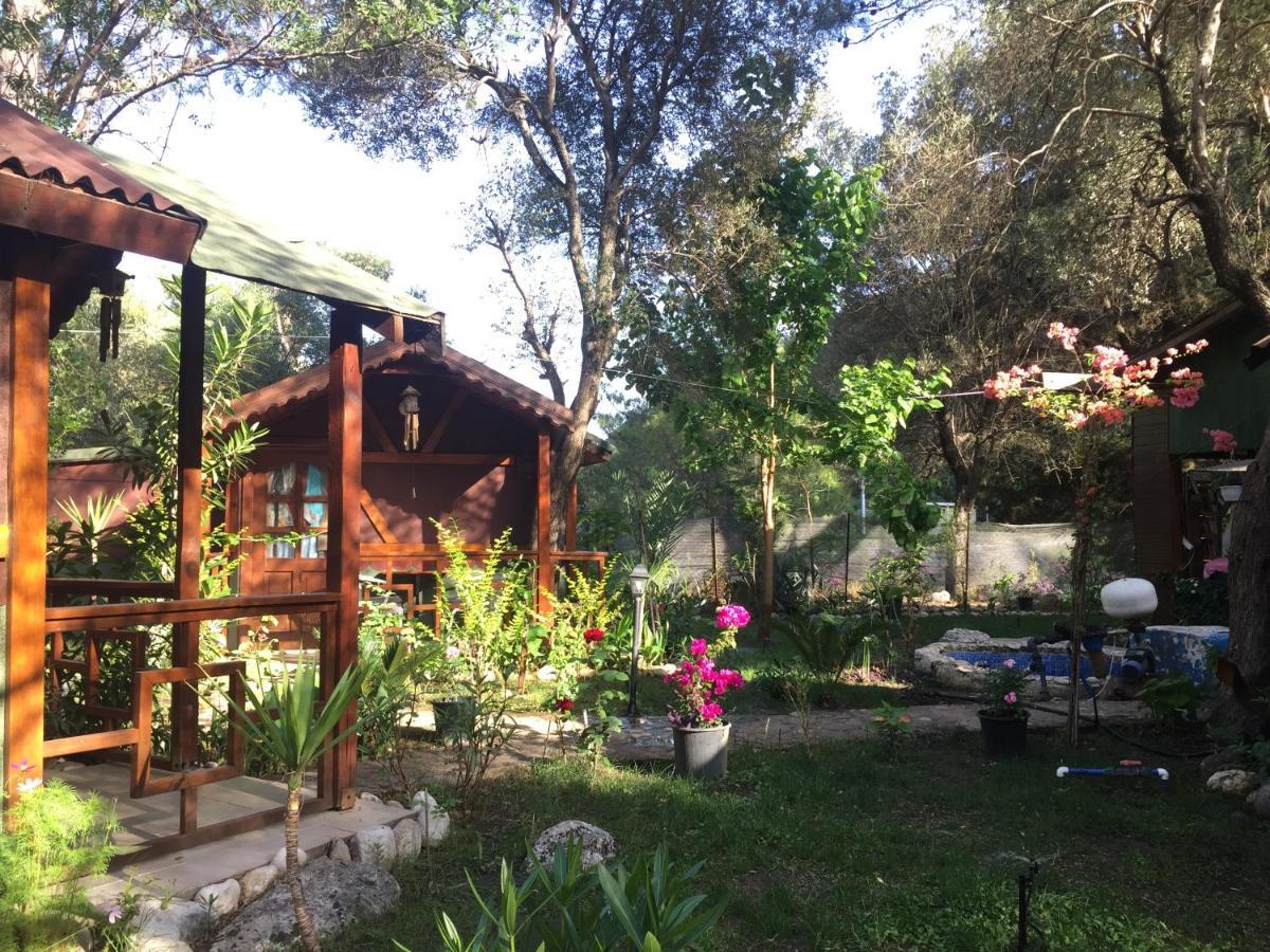 Canario Bungalows Çıralı Εξωτερικό φωτογραφία