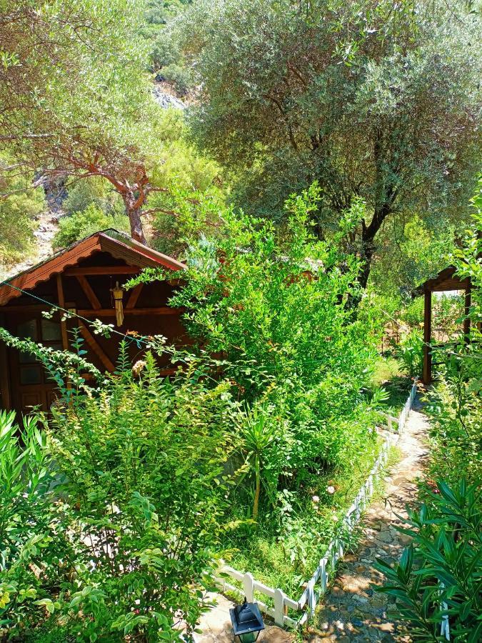 Canario Bungalows Çıralı Εξωτερικό φωτογραφία