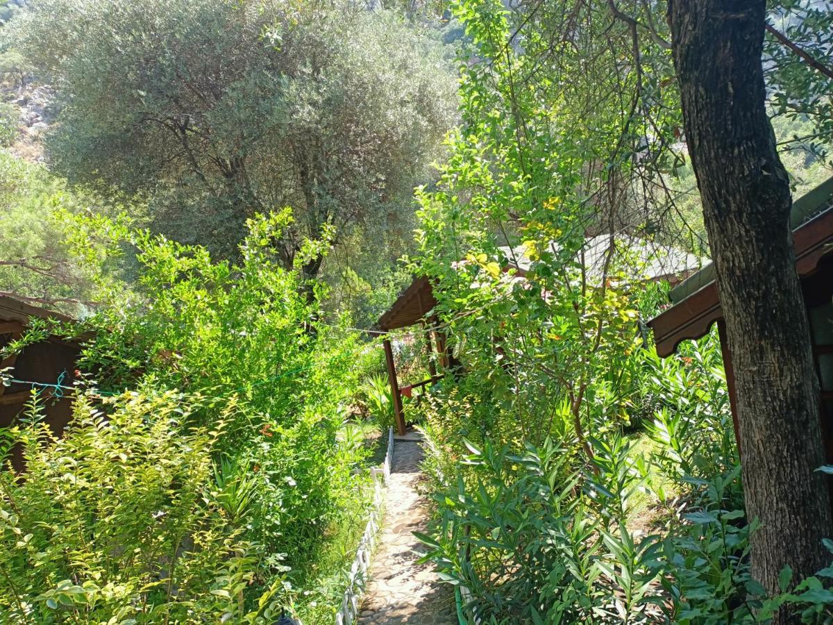 Canario Bungalows Çıralı Εξωτερικό φωτογραφία