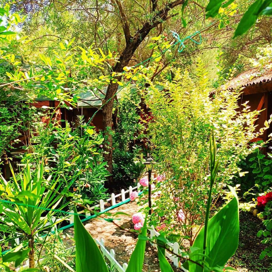 Canario Bungalows Çıralı Εξωτερικό φωτογραφία