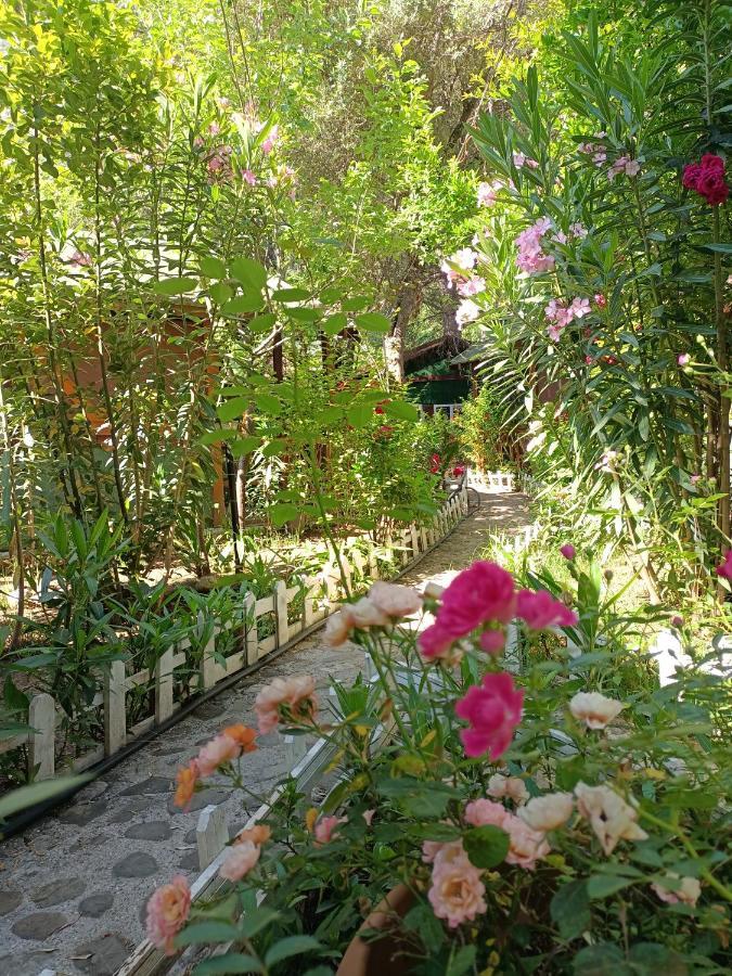 Canario Bungalows Çıralı Εξωτερικό φωτογραφία
