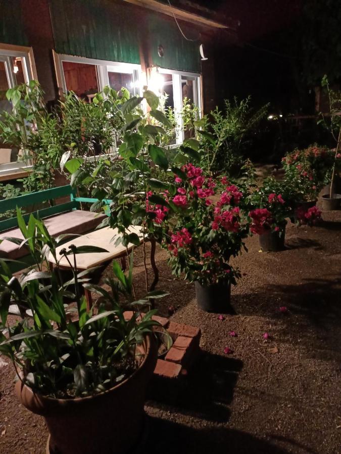 Canario Bungalows Çıralı Εξωτερικό φωτογραφία
