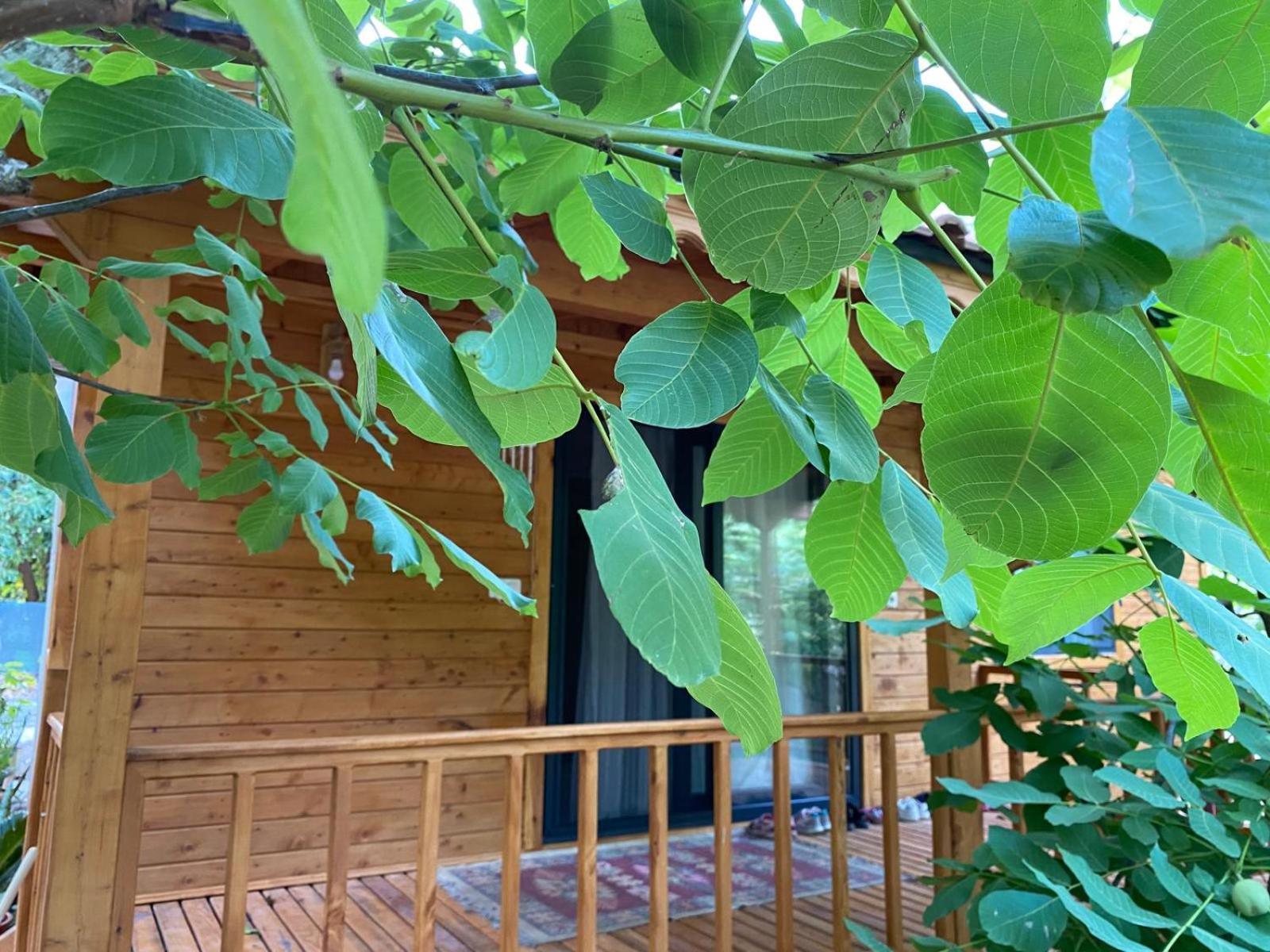 Canario Bungalows Çıralı Εξωτερικό φωτογραφία
