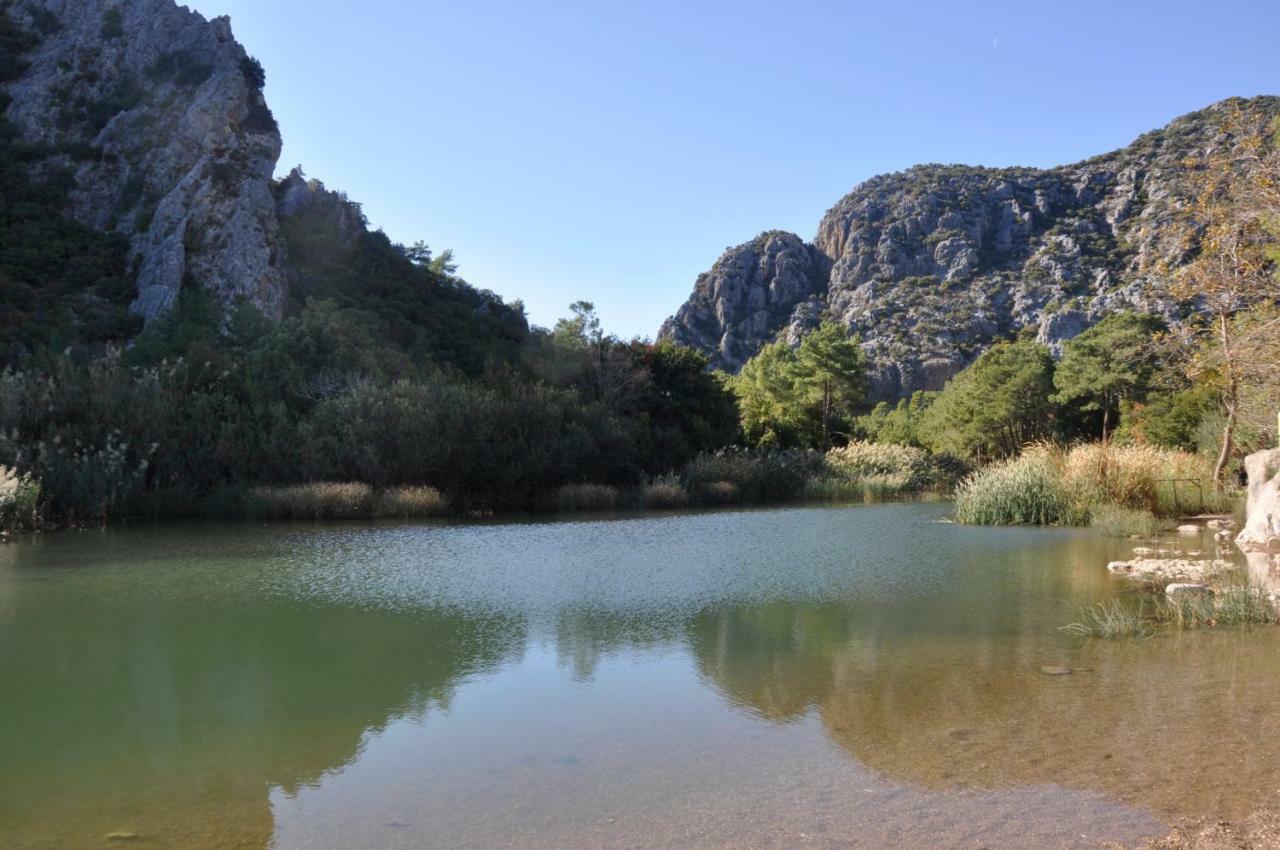 Canario Bungalows Çıralı Εξωτερικό φωτογραφία